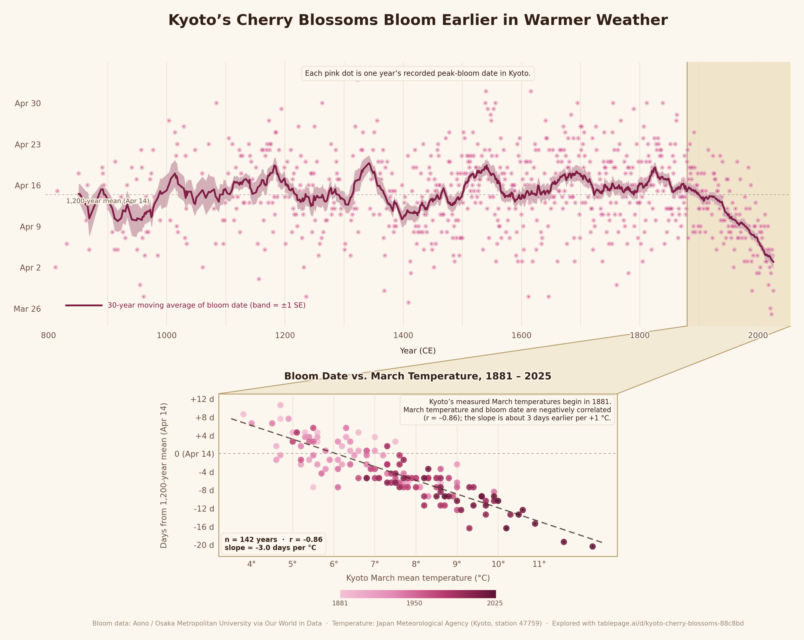 Kyoto's cherry blossoms bloom earlier in warmer weather - top: peak bloom dates 800-2026 with 30-year moving average; bottom: bloom date vs March mean temperature scatter 1881-2025 showing slope of about 3 days earlier per 1 degree C (r = -0.86)